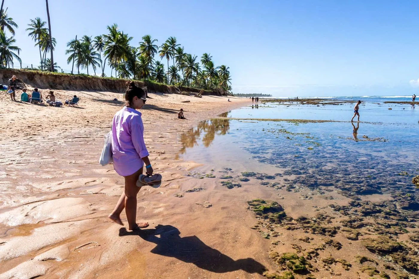 Tour de Praias de Salvador
