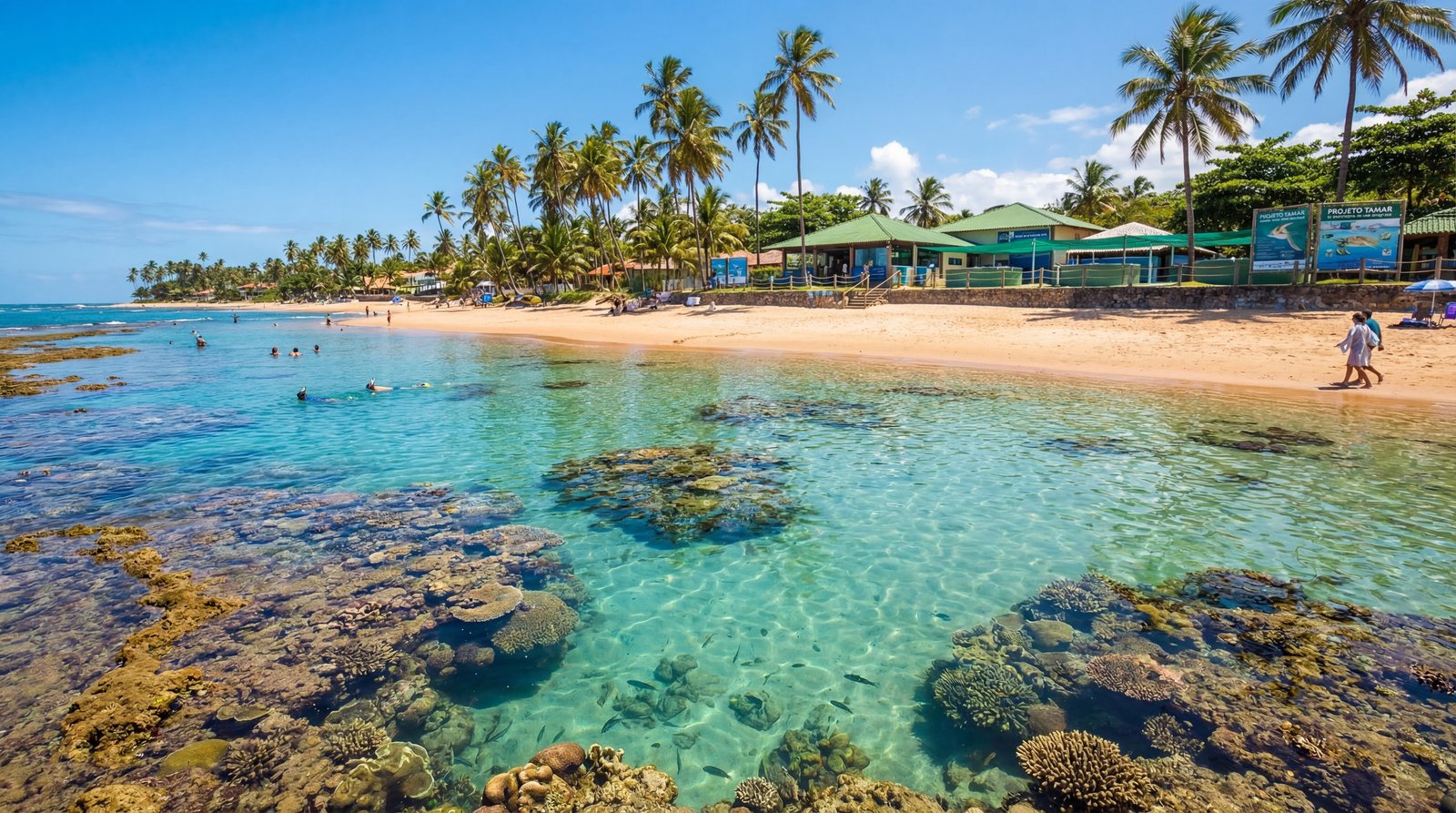 Praia do Forte - Litoral Norte da Bahia
